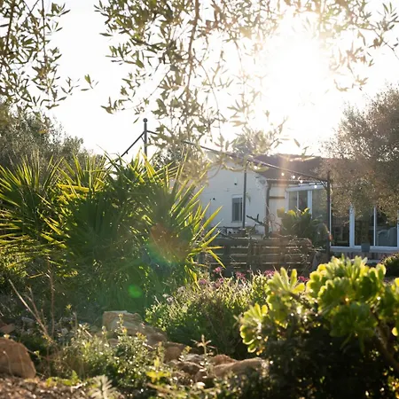 Casa de vacances Tivissa El Perelló